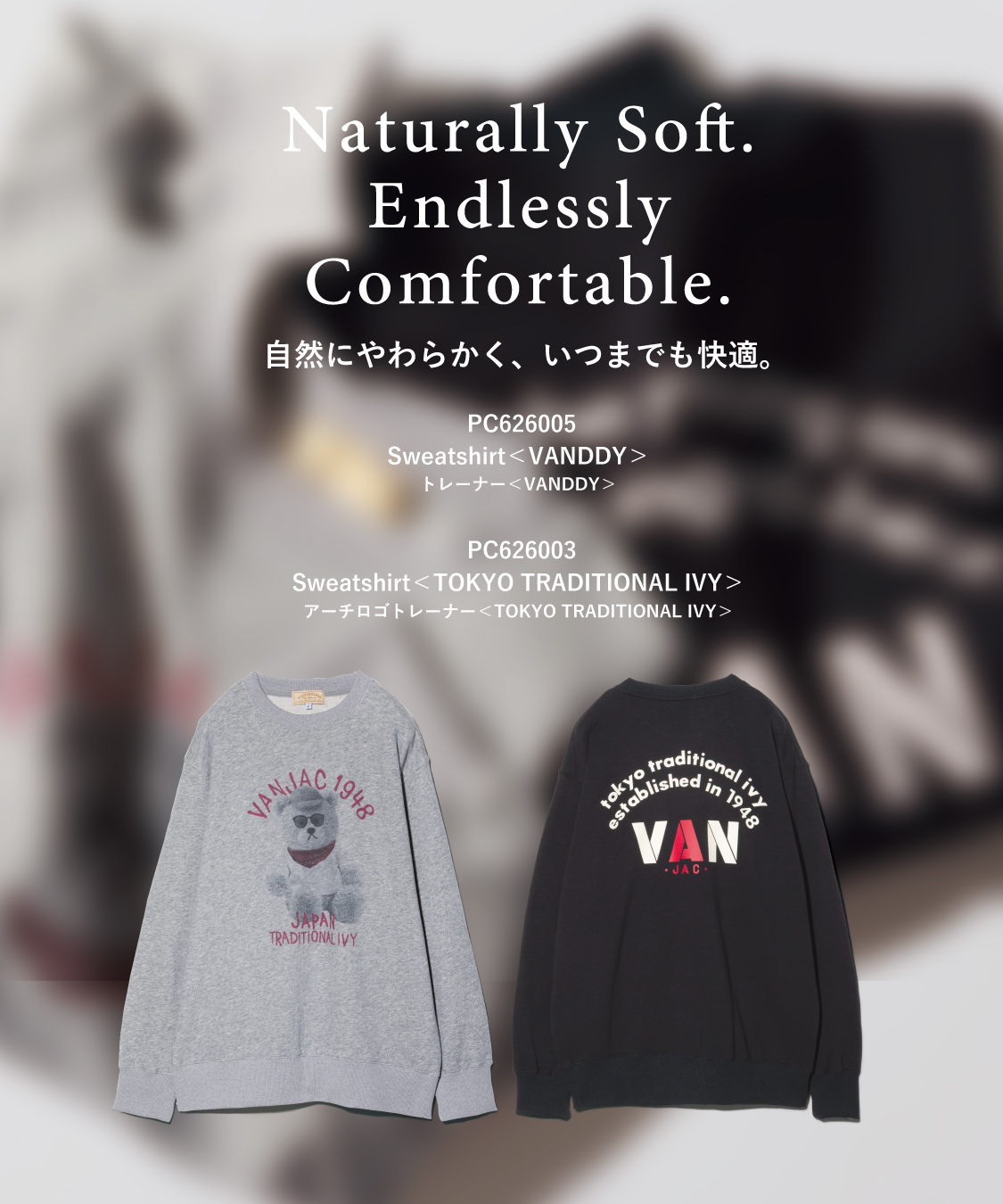 ⭐️VAN JACKET大きなSCENEのタオルケット旧いモノです。大変貴重