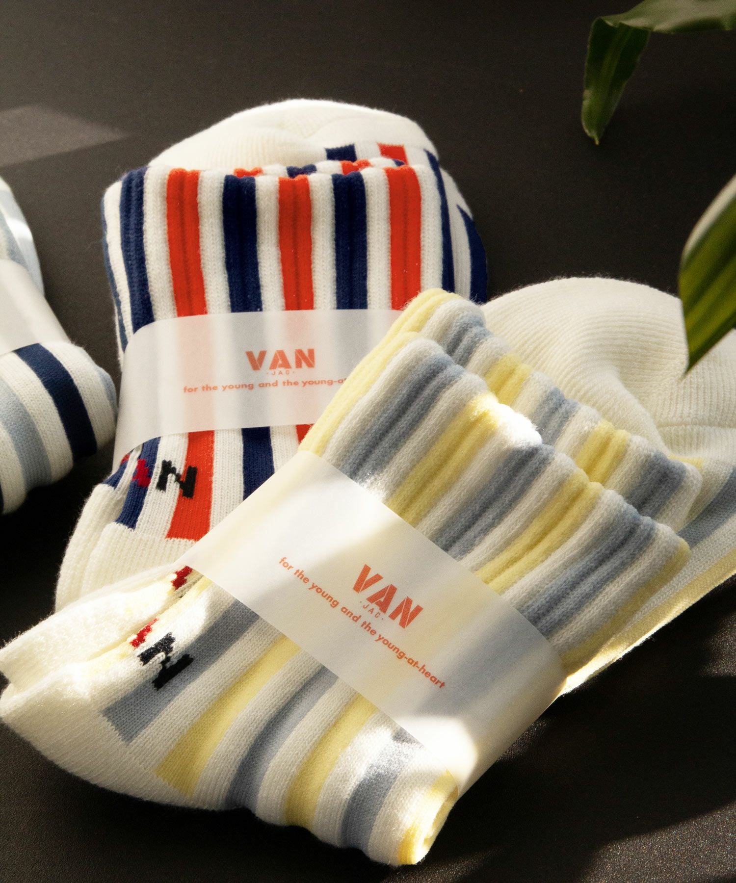 VANは青春だった!!　 VAN ケース アイボリー　靴下3点 VANS】 ヴァンズ CREW 3PACK SOCKS ソックス 123R1210501 ABC-MART限定